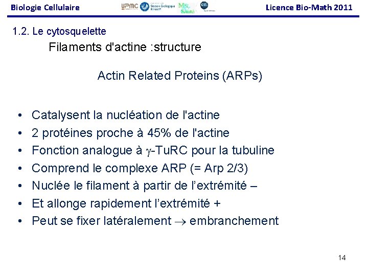 Biologie Cellulaire Licence Bio-Math 2011 1. 2. Le cytosquelette Filaments d'actine : structure Actin