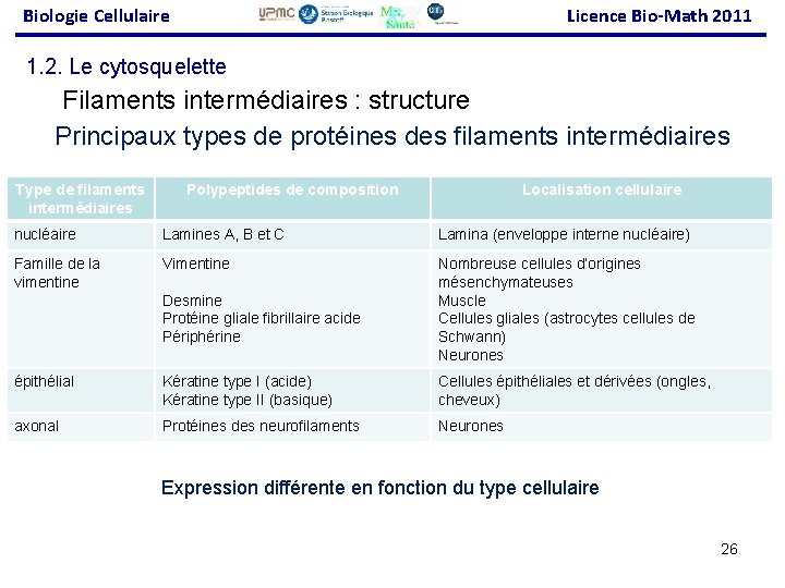 Biologie Cellulaire Licence Bio-Math 2011 1. 2. Le cytosquelette Filaments intermédiaires : structure Principaux
