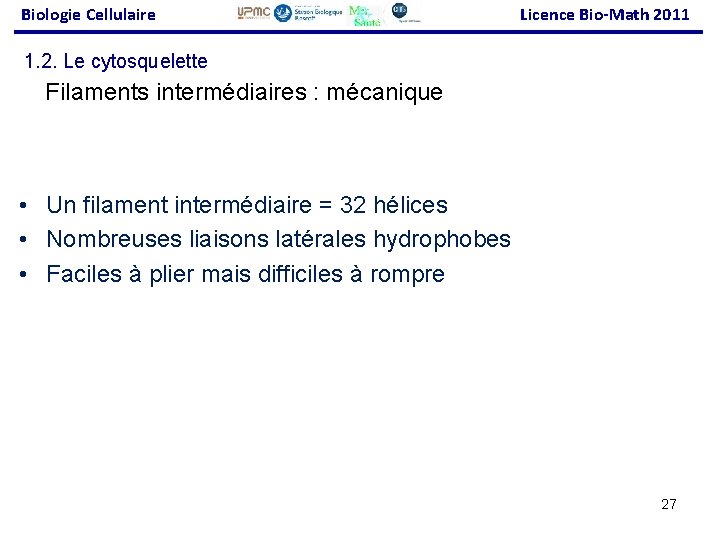 Biologie Cellulaire Licence Bio-Math 2011 1. 2. Le cytosquelette Filaments intermédiaires : mécanique •