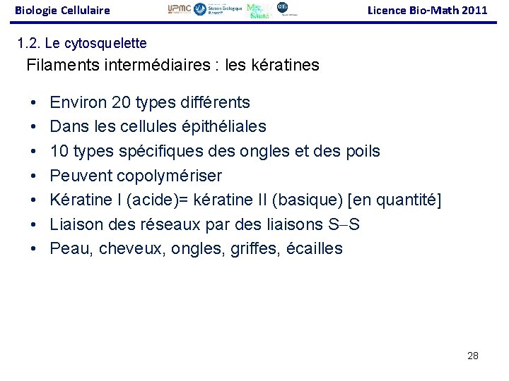 Biologie Cellulaire Licence Bio-Math 2011 1. 2. Le cytosquelette Filaments intermédiaires : les kératines
