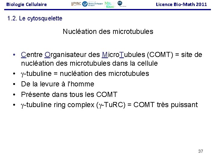 Biologie Cellulaire Licence Bio-Math 2011 1. 2. Le cytosquelette Nucléation des microtubules • Centre