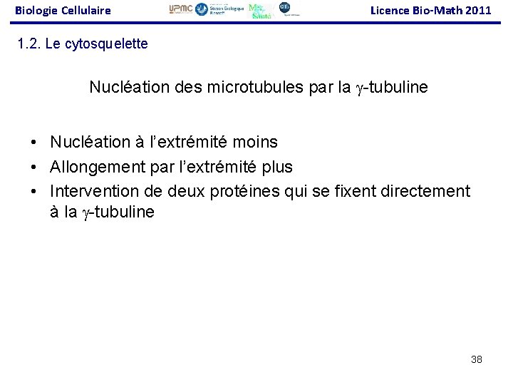 Biologie Cellulaire Licence Bio-Math 2011 1. 2. Le cytosquelette Nucléation des microtubules par la