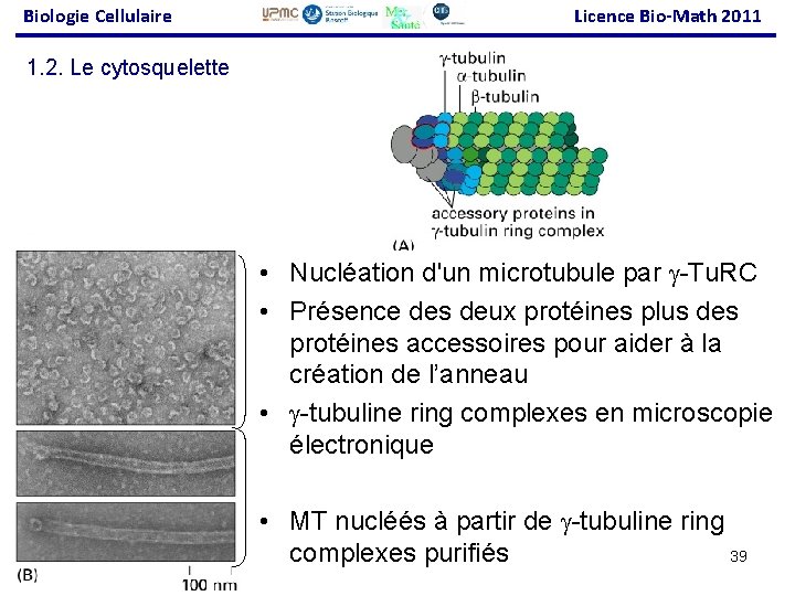 Biologie Cellulaire Licence Bio-Math 2011 1. 2. Le cytosquelette • Nucléation d'un microtubule par