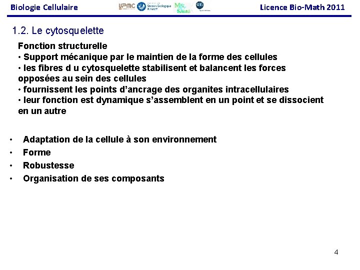 Biologie Cellulaire Licence Bio-Math 2011 1. 2. Le cytosquelette Fonction structurelle • Support mécanique