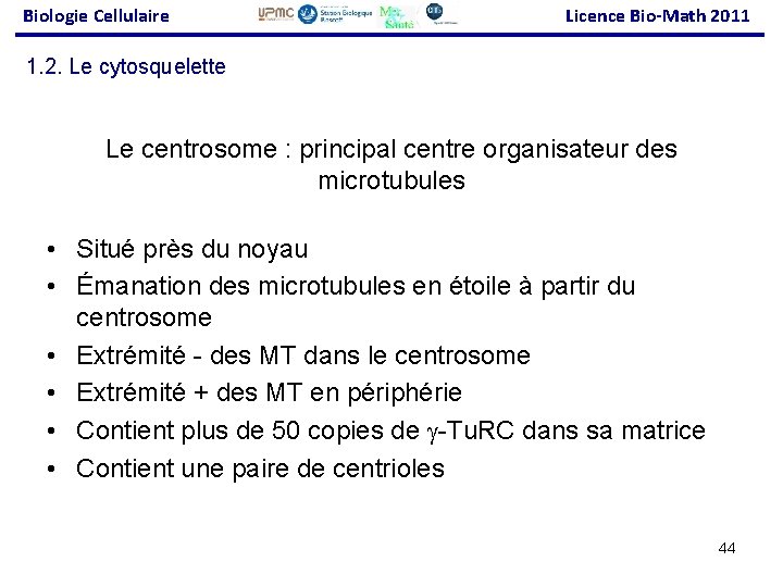 Biologie Cellulaire Licence Bio-Math 2011 1. 2. Le cytosquelette Le centrosome : principal centre