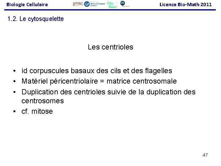Biologie Cellulaire Licence Bio-Math 2011 1. 2. Le cytosquelette Les centrioles • id corpuscules