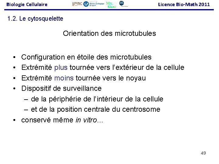 Biologie Cellulaire Licence Bio-Math 2011 1. 2. Le cytosquelette Orientation des microtubules • •