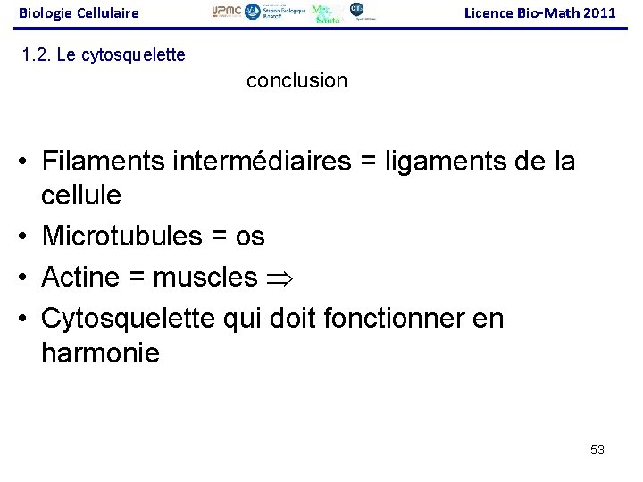 Biologie Cellulaire Licence Bio-Math 2011 1. 2. Le cytosquelette conclusion • Filaments intermédiaires =