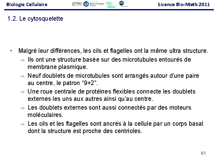 Biologie Cellulaire Licence Bio-Math 2011 1. 2. Le cytosquelette • Malgré leur différences, les