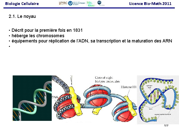 Biologie Cellulaire Licence Bio-Math 2011 2. 1. Le noyau • Décrit pour la première