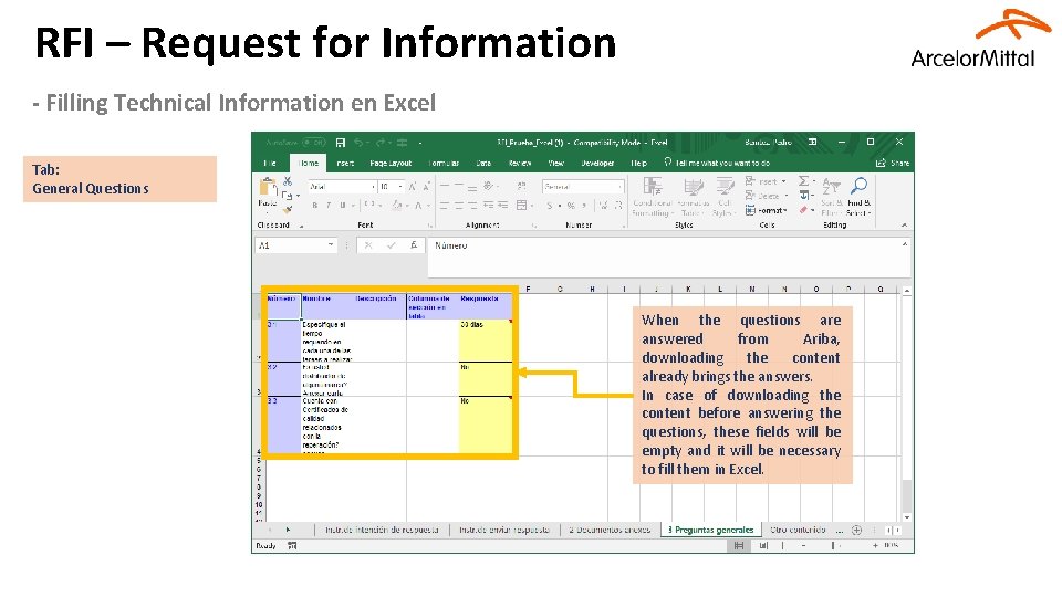 RFI – Request for Information - Filling Technical Information en Excel Tab: General Questions