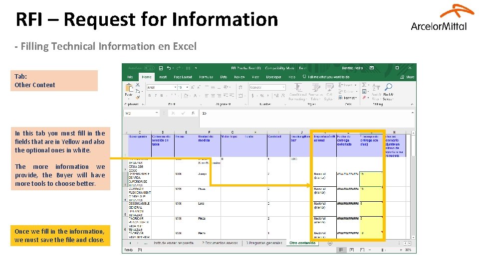 RFI – Request for Information - Filling Technical Information en Excel Tab: Other Content