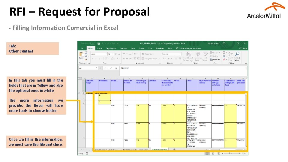 RFI – Request for Proposal - Filling Information Comercial in Excel Tab: Other Content