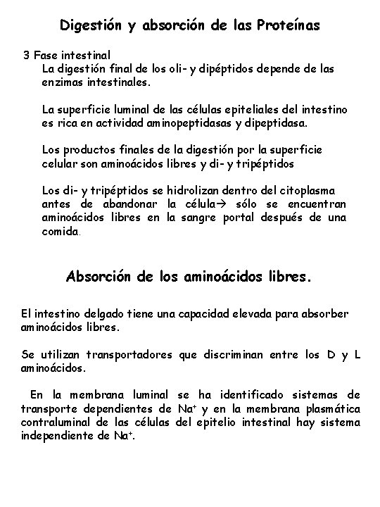 Digestión y absorción de las Proteínas 3 Fase intestinal La digestión final de los