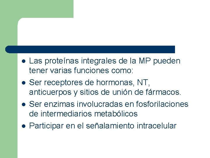 l l Las proteínas integrales de la MP pueden tener varias funciones como: Ser