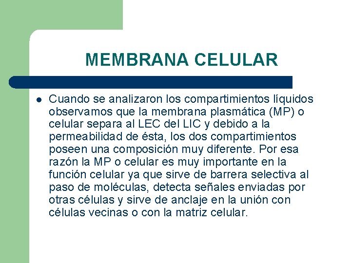 MEMBRANA CELULAR l Cuando se analizaron los compartimientos líquidos observamos que la membrana plasmática