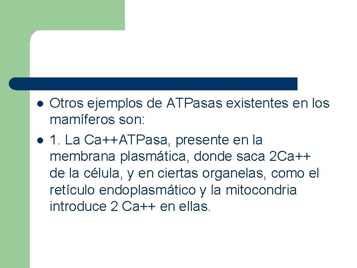 l l Otros ejemplos de ATPasas existentes en los mamíferos son: 1. La Ca++ATPasa,