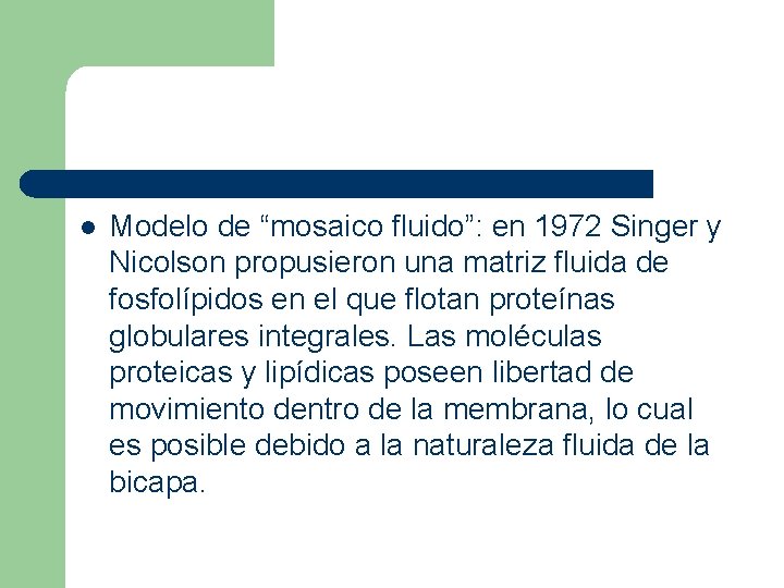 l Modelo de “mosaico fluido”: en 1972 Singer y Nicolson propusieron una matriz fluida