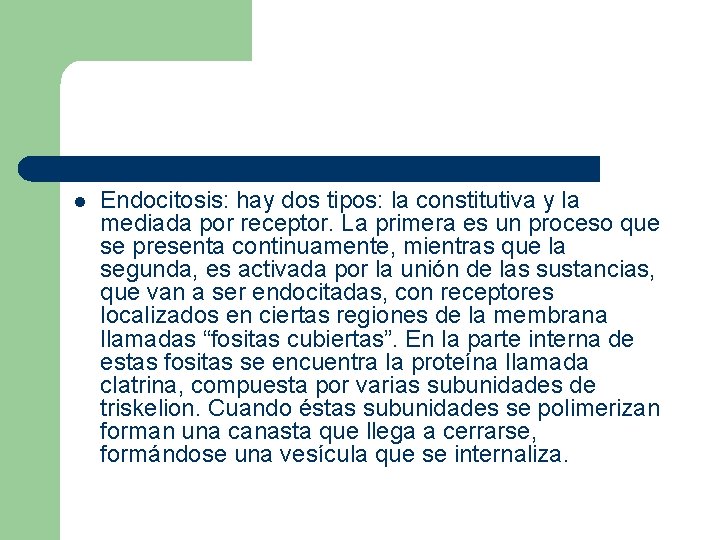 l Endocitosis: hay dos tipos: la constitutiva y la mediada por receptor. La primera