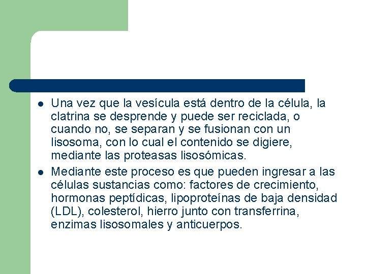 l l Una vez que la vesícula está dentro de la célula, la clatrina