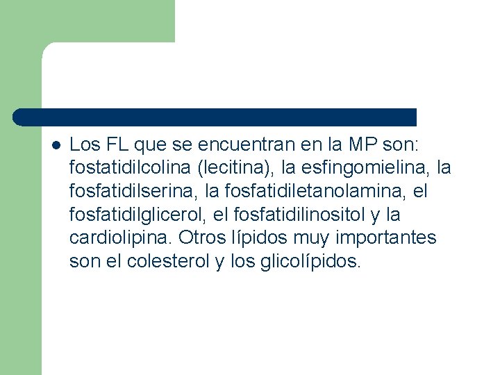 l Los FL que se encuentran en la MP son: fostatidilcolina (lecitina), la esfingomielina,