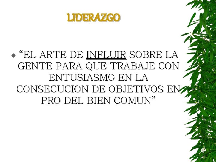 LIDERAZGO “EL ARTE DE INFLUIR SOBRE LA GENTE PARA QUE TRABAJE CON ENTUSIASMO EN