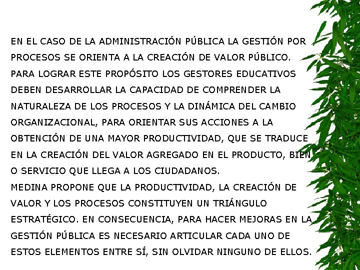 EN EL CASO DE LA ADMINISTRACIÓN PÚBLICA LA GESTIÓN POR PROCESOS SE ORIENTA A