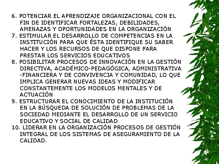 6. POTENCIAR EL APRENDIZAJE ORGANIZACIONAL CON EL FIN DE IDENTIFICAR FORTALEZAS, DEBILIDADES, AMENAZAS Y