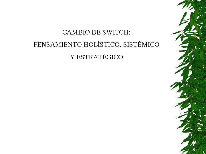 CAMBIO DE SWITCH: PENSAMIENTO HOLÍSTICO, SISTÉMICO Y ESTRATÉGICO 