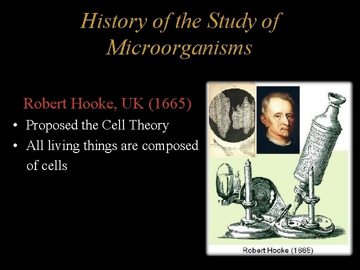 History of the Study of Microorganisms Robert Hooke, UK (1665) • Proposed the Cell