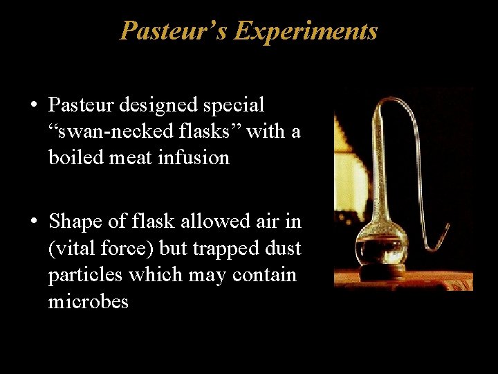 Pasteur’s Experiments • Pasteur designed special “swan-necked flasks” with a boiled meat infusion •