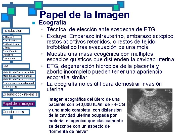 Papel de la Imagen n Introducción Definición Clasificación Epidemiología Clínica Estadificación Genética Pronostico RM