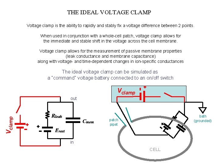 THE IDEAL VOLTAGE CLAMP Voltage clamp is the ability to rapidly and stably fix