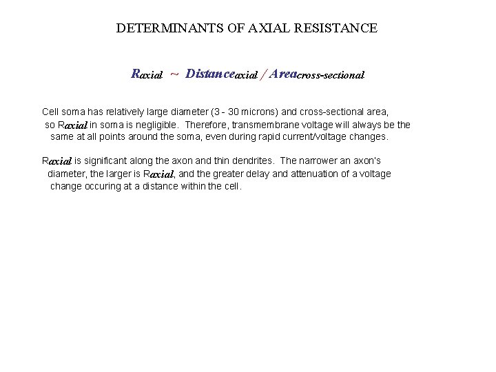 DETERMINANTS OF AXIAL RESISTANCE Raxial ~ Distanceaxial / Areacross-sectional Cell soma has relatively large