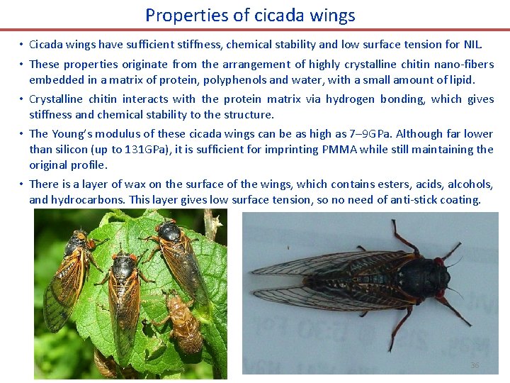 Properties of cicada wings • Cicada wings have sufficient stiffness, chemical stability and low