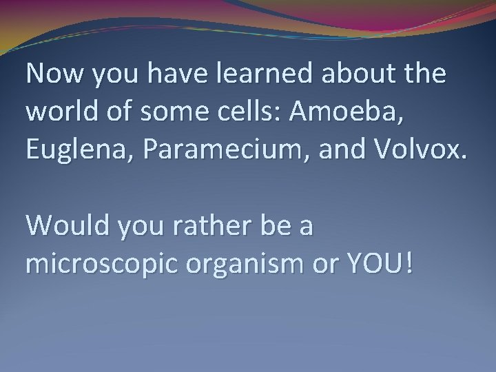 Now you have learned about the world of some cells: Amoeba, Euglena, Paramecium, and