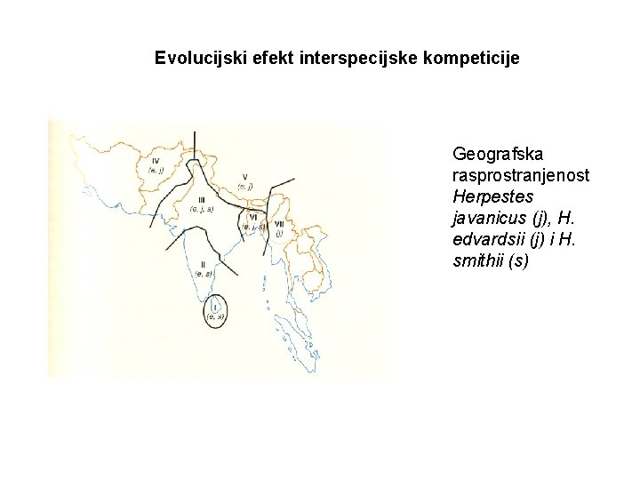 Evolucijski efekt interspecijske kompeticije Geografska rasprostranjenost Herpestes javanicus (j), H. edvardsii (j) i H.