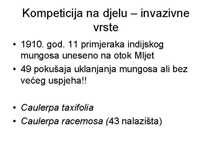 Kompeticija na djelu – invazivne vrste • 1910. god. 11 primjeraka indijskog mungosa uneseno