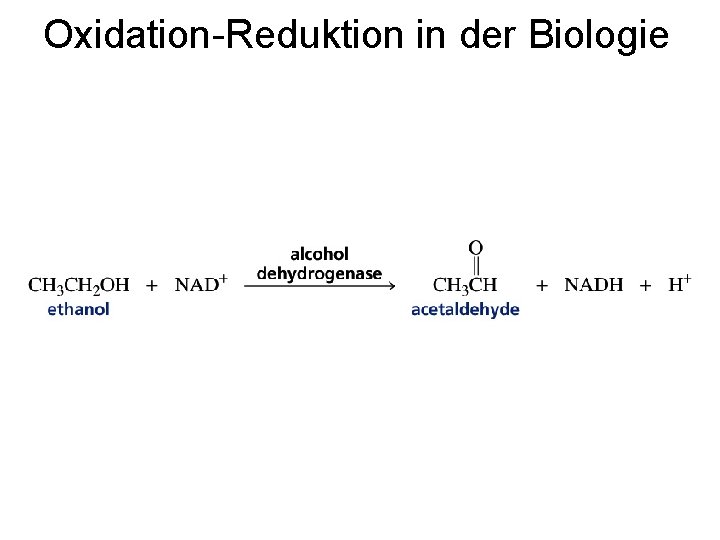 Oxidation-Reduktion in der Biologie 
