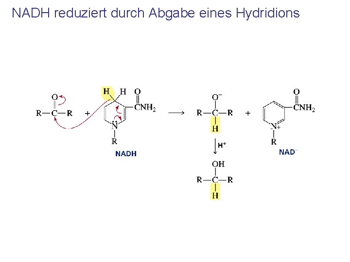 NADH reduziert durch Abgabe eines Hydridions 