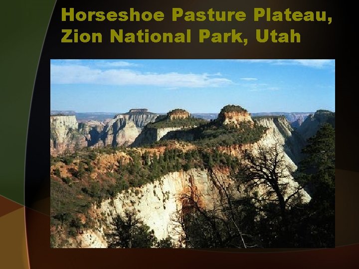 Horseshoe Pasture Plateau, Zion National Park, Utah 