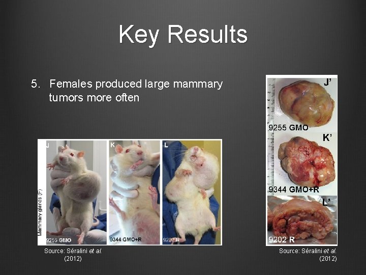 Key Results 5. Females produced large mammary tumors more often Source: Séralini et al.