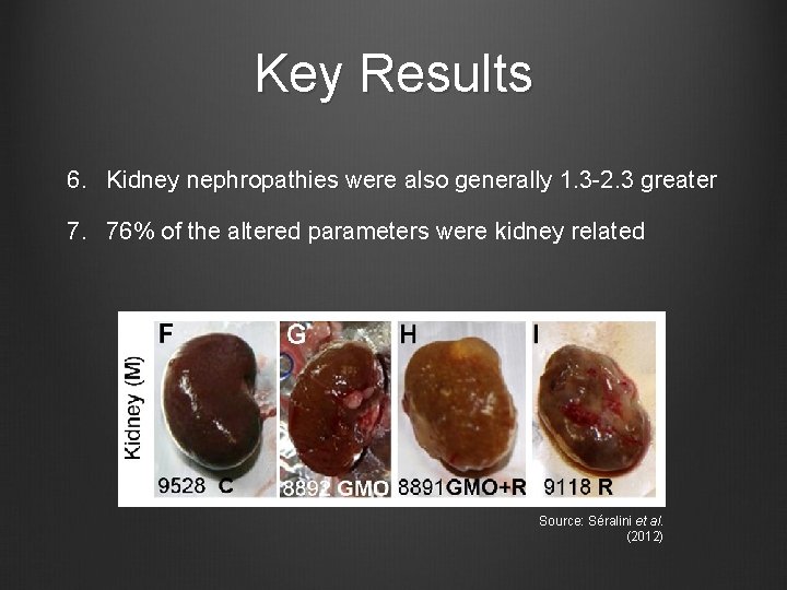 Key Results 6. Kidney nephropathies were also generally 1. 3 -2. 3 greater 7.