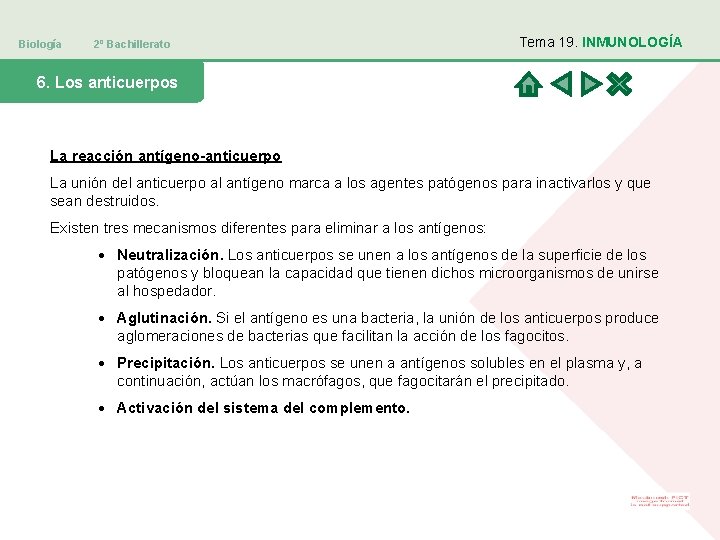 Biología 2º Bachillerato Tema 19. INMUNOLOGÍA 6. Los anticuerpos La reacción antígeno-anticuerpo La unión