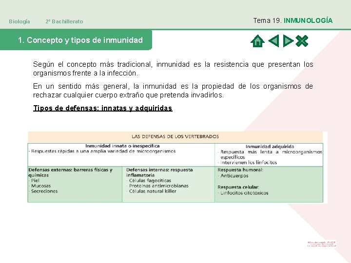 Biología 2º Bachillerato Tema 19. INMUNOLOGÍA 1. Concepto y tipos de inmunidad Según el