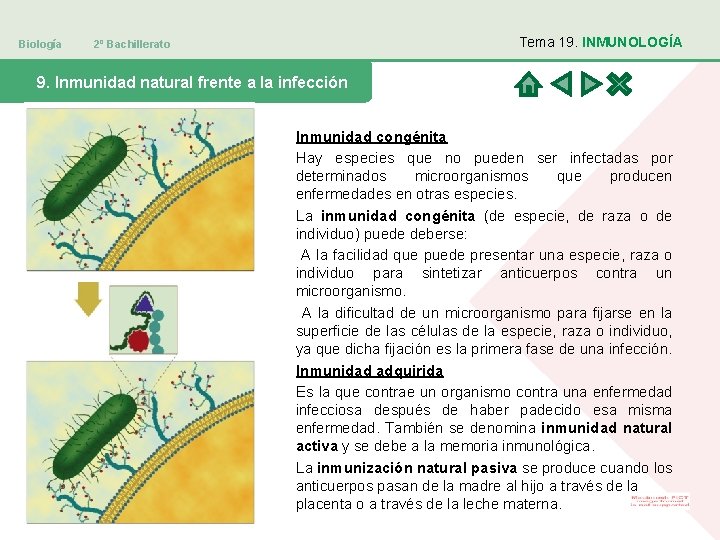 Biología Tema 19. INMUNOLOGÍA 2º Bachillerato 9. Inmunidad natural frente a la infección Inmunidad