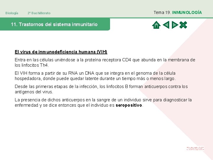 Biología 2º Bachillerato Tema 19. INMUNOLOGÍA 11. Trastornos del sistema inmunitario El virus de