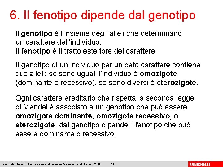 6. Il fenotipo dipende dal genotipo Il genotipo è l’insieme degli alleli che determinano