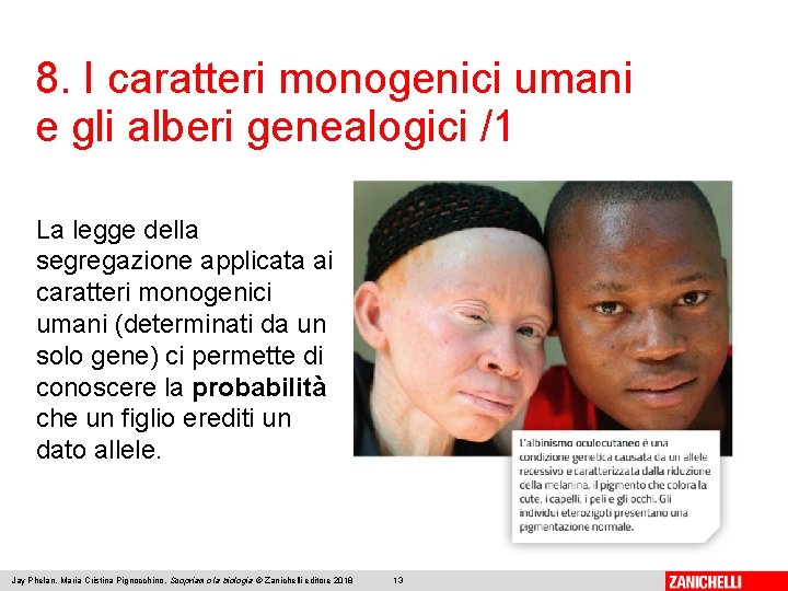 8. I caratteri monogenici umani e gli alberi genealogici /1 La legge della segregazione