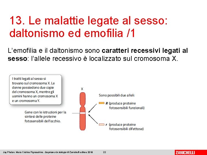 13. Le malattie legate al sesso: daltonismo ed emofilia /1 L’emofilia e il daltonismo